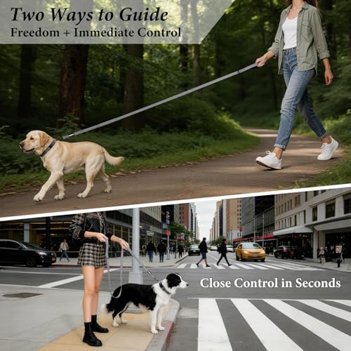 Double Handle Dog Leash, 6 FT Reflective, for Medium Large Dogs - Image 2