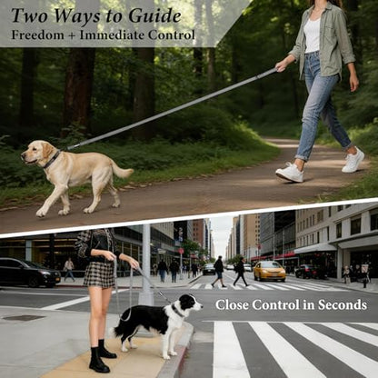Double Handle Dog Leash, 6 FT Reflective, for Medium Large Dogs - Image 2