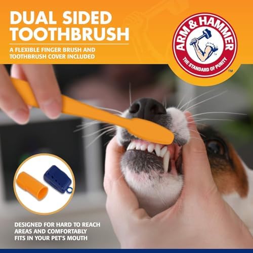 Arm & Hammer Tartar Control Dog Dental Kit, Banana Mint, 3-Piece, 2-Pack - Image 3