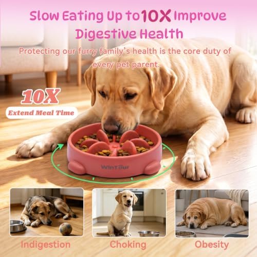 WinTour 2 Pack Slow Feeder Dog Bowls, BPA Free, Medium & Small Dog Bowls - Image 2