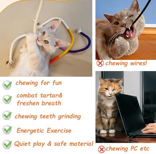 Cat Toys Chew Ropes, Silvervine Sticks Catnip Rope Toys with Refillable Natural Catnip for Cats Dental Care, Safe Teeth Cleaning Toy for Indoor Cat Kitty Kicker Toy Interactive Catnip Kitty Toys - Image 6