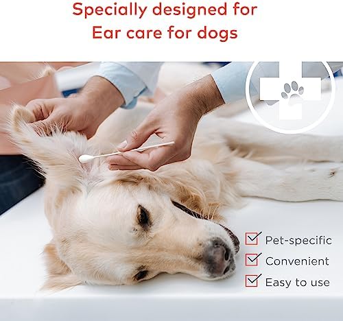 ARCA PET Cotton Swabs for Dogs and Cats - Cat & Dog Ear Cleaner Long Cotton Swab - Extra Large Cotton Head, Cat & Dog Ear Cleaning Kit for Puppies, Multipurpose Pet Cotton Swabs (Extra Large 100 Buds) - Image 2