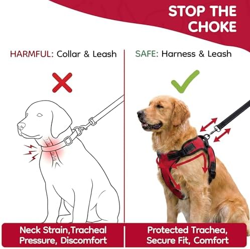 No Pull Reflective Adjustable Dog Harness with Handle- Comfortable Soft All Weather Mesh, Easy On Puppy Harness for Small Medium and Large Dogs (Red) X-Large - Image 5