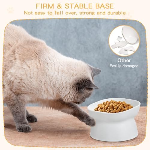 4 Pieces Plastic Tilted Elevated Cat Bowls Raised Cat Food Bowls Elevated Feeding Dish for Flat Faced Kitten Kitty Pets Supplies(White) - Image 5