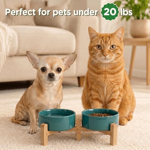 SPUNKYJUNKY Elevated Dog Bowls Ceramic, 5.1'' Dogs and Cat Food Water Bowls Raised with Non-Slip Bamboo Stand for Puppy Small Sized Breed Microwave Dishwasher Safe - 13.5 OZ,Dark Green - Image 7