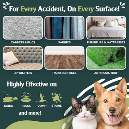 Sprinkle & Sweep: Pet Stain & Odor Enzyme Spray - 24oz - No Scrubbing Concentrated Formula, Dog & Cat Urine & Mess Destroyer, Carpet Spot Cleaning - Image 3