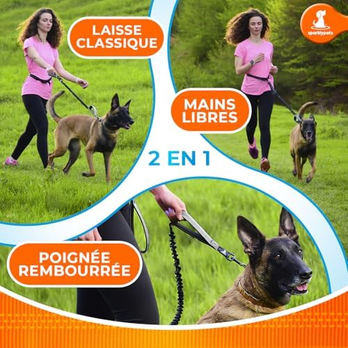 SparklyPets - Hands Free Dog Leash with Reflective Stitches - Waist Leash for Dog Walking, Hiking, Training, Jogging, Canicross, Running - for Medium & Large Breeds - Image 6