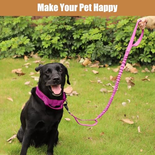Tactical Dog Collar Leash Set, Dog Collar with Controll Handle, Pink, M - Image 6