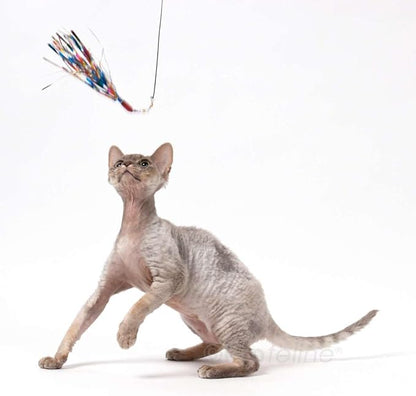 GoCat Da Bird Cat Toy Refill Accessories, Handmade in the USA, Sparkler