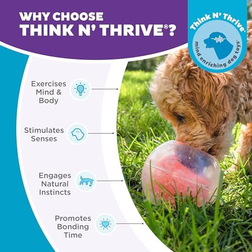 Outward Hound by Nina Ottosson Topsy Treat Ball Dog Puzzle, Level 1 Beginner, Orange - Image 6