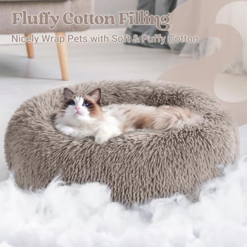 rabbitgoo Calming Cat Beds for Indoor Cats, 20 inches, Khaki - Image 3