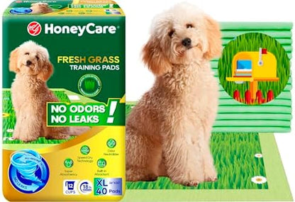 HoneyCare Fresh Grass Print/Scent All Absorb XL Training Pads, 26x30, 40 Ct by HoneyCare