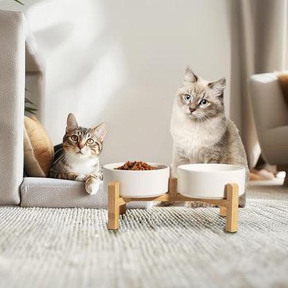 Elevated Ceramic Dog Bowl, 2 Cups Dog Food and Water Bowl Set with Stand - Image 6