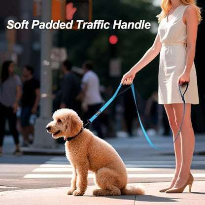 Heavy Duty Double Handle Dog Leash 6 ft Long for Total Control, Padded 2 Handle, Reflective Training Lead for Medium Large Dogs (Sky Blue, 6 FT) - Image 4