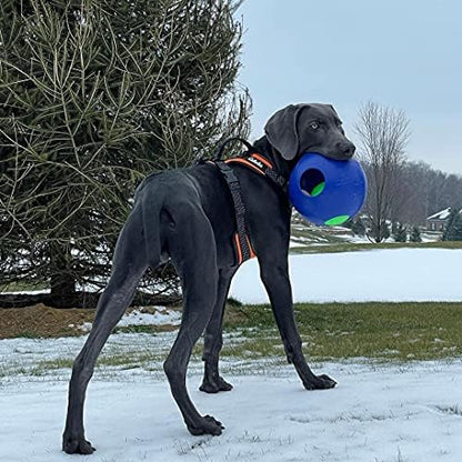 Jolly Pets Teaser Ball Interactive Dog Toy, 8 in Large, Blue - Image 4