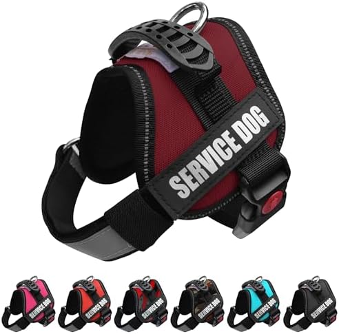 ALBCORP Service Dog Vest Harness – Reflective Service Animal Vest, No-Pull Harness with Handle & Mesh Padding – Sizes XXS-XL for Puppies – 2 Removable Service Patches Included (Extra Small, Maroon) by Albcorp