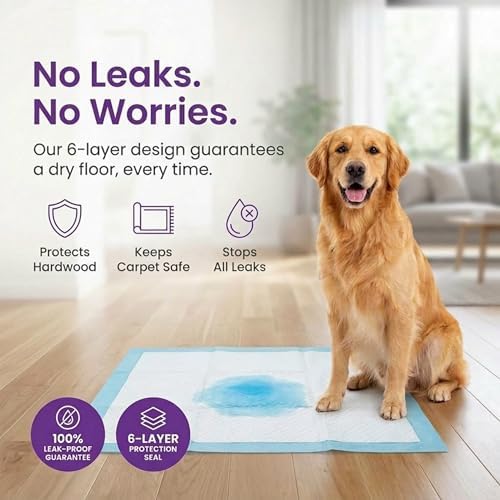 BV Puppy Pads XL 40 Count 34"x28" - Leak-Proof Pee Pads for Dogs with 6-Layer Design, Rapid Dry Sheet & Attractant - Dog Pad Extra Large with Odor Control - Perfect for Big Dogs & Indoor Use - Image 2