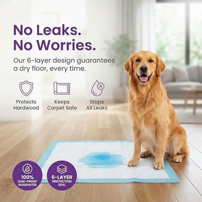 BV Puppy Pads XL 40 Count 34"x28" - Leak-Proof Pee Pads for Dogs with 6-Layer Design, Rapid Dry Sheet & Attractant - Dog Pad Extra Large with Odor Control - Perfect for Big Dogs & Indoor Use - Image 2