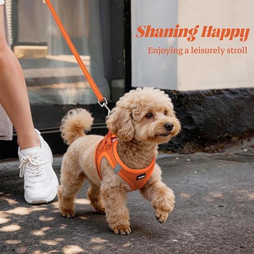 No Pull Dog Puppy Harness and Leash Set Reflective Mesh Vest Medium - Image 6