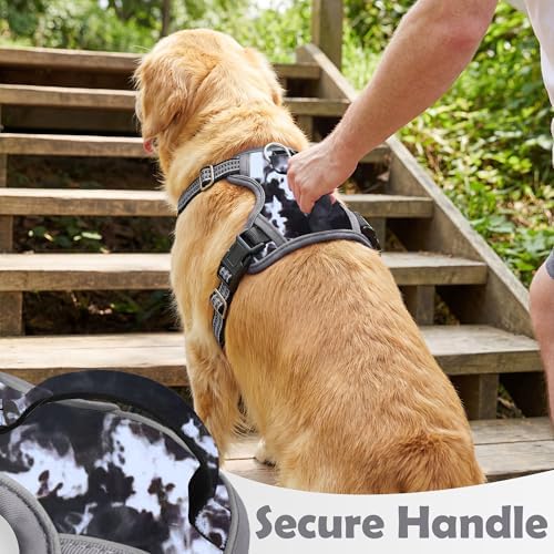 Funfox Dog Harness No Pull, Adjustable Pet Vest Harness, Super Soft Material with Vertical Handle Easy Control, Reflective Night Walking, 2 Leash Clips for Small Sized Dogs, Misty Gray, S - Image 4