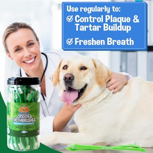 Bodhi Dog Dual-Headed Toothbrush for Dogs & Cats - Soft Bristles for Gentle Pet Dental Care - Puppy & Adult Teeth Cleaning - Easy-to-Use Design for Healthy Gums & Fresh Breath (50 Count) - Image 3