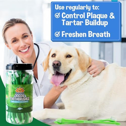 Bodhi Dog Dual-Headed Toothbrush for Dogs & Cats - Soft Bristles for Gentle Pet Dental Care - Puppy & Adult Teeth Cleaning - Easy-to-Use Design for Healthy Gums & Fresh Breath (50 Count) - Image 3