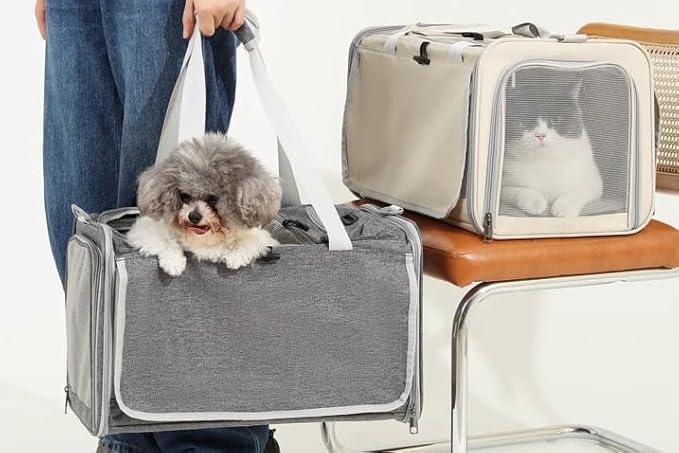 Pet Carrier Bag for Cats & Small Dogs, Airline Approved Travel Cat Carrier with Mesh Windows, Shoulder Strap & Removable Mat, Foldable Design for Home & Outdoor Trips (Grey)