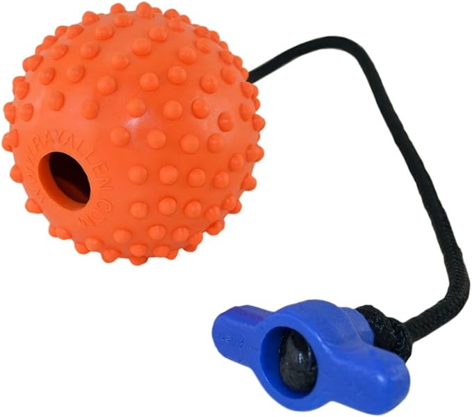 Ray Allen Ball On Rope Toy - Professional Quality Dog Training (Orange w/T-Handle, 3")