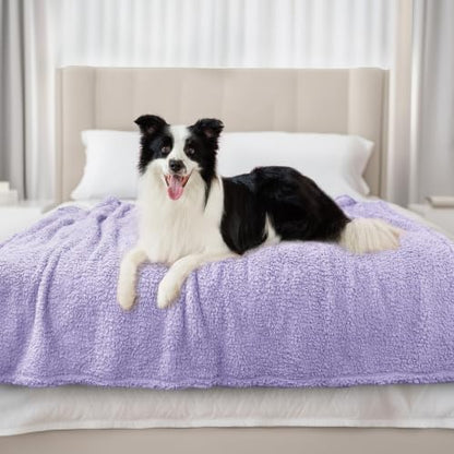 Luciphia Ultra Soft Sherpa Fleece Dog Puppy Cat Blanket for Small Pets - Image 4