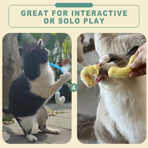 10 Pack Interactive Cat Toys Set, Silvervine Sticks for Cats & Catnip Chew Toys, Cat Rope Toys for Teeth Cleaning, Indoor Cat Toys for Adult Cats and Kittens - Image 6