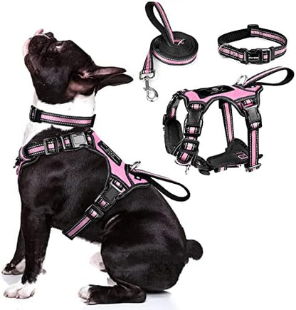 WINSEE Pet Harness Collar and Leash Set, All-in-one Reflective Dog Harness No Pull with Adjustable Buckles for Puppies, Small, Medium, Large, and Extra-Large Dogs (Medium, Pink) by WINSEE