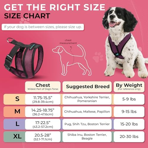 Gooby Comfort X Head-in Dog Harness, Choke-Free, Purple, Large - Image 5