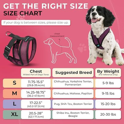 Gooby Comfort X Head-in Dog Harness, Choke-Free, Purple, Large - Image 5