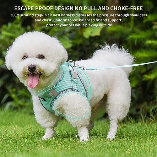 AIITLE Dog Harness and Leash Set with Breathable Mesh, Turquoise M - Image 4