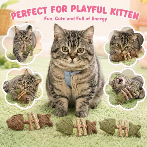 Catnip and Silvervine Chew Sticks for Cats Natural Cat Nip Teething Toys Gall Fruit Teeth Dental Cleaning Silver Vine Creative Fish Bone Kittens Interactive Wooden Fishbone Shaped Design - Image 3