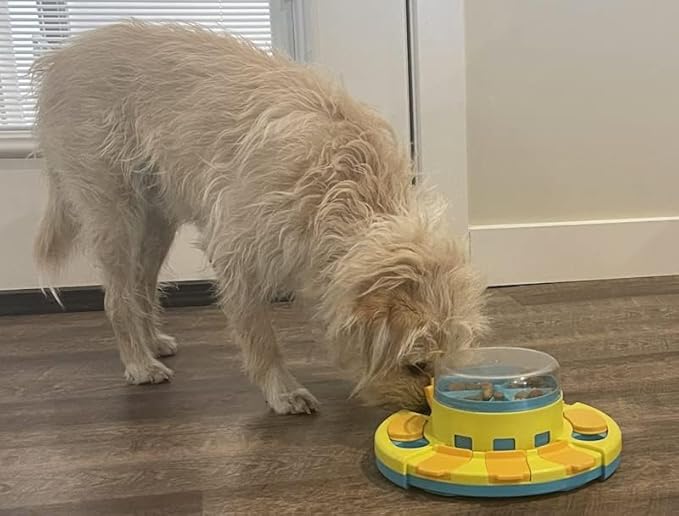 Piggy Poo and Crew Treat Popper Slow Feeder Interactive Food Dispenser Puzzle Game for Dogs Puppies Rabbits Pigs Small Animals