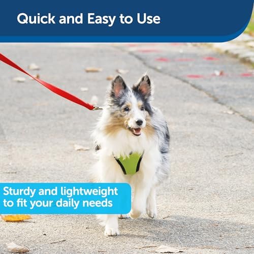 PetSafe Nylon Dog Leash - Strong, Durable, Traditional Style Leash with Easy to Use Bolt Snap - 3/8 in. x 6 ft., Red - Image 3