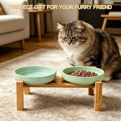 Shallow Elevated Cat Bowls with Bamboo Stand, 6.1 Inch Wide Ceramic Cat Dish Whisker Friendly, 2 Pack Pet Food and Water Plates - Image 6