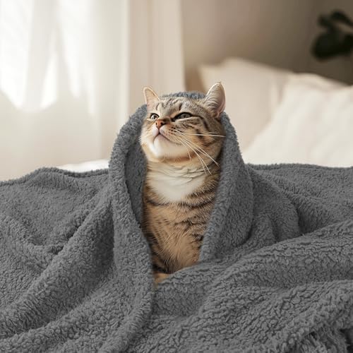 Luciphia Premium Fleece Pet Blanket for Small Medium Dogs Puppy Soft Sherpa Calming Cat Throw Blankets(Grey,41x31 inches) - Image 6