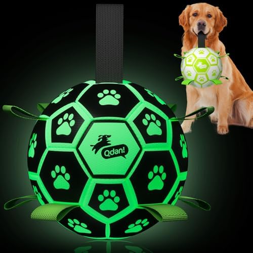 QDAN Premium Glow in The Dark Dog Toys, Dog Ball with Straps, Soccer Ball for Dogs, Outdoor Dog Toys, Pet Birthday Toys, Puppy Essentials for Medium to Large (8Inch) by QDAN