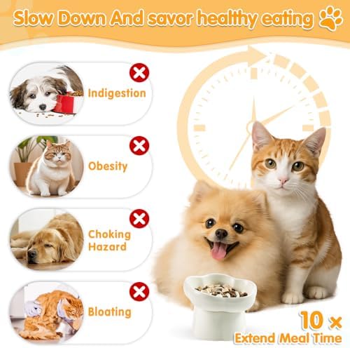 Cat Slow Feeder Bowl Set,1 Pcs Pastel Series Cat Plate for Dry and Wet Food - Image 4