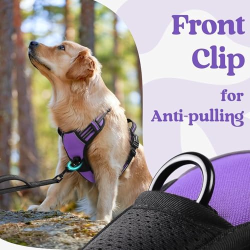 rabbitgoo Dog Harness for Large, Updated Easy On & Off with 3 Buckles - Image 6