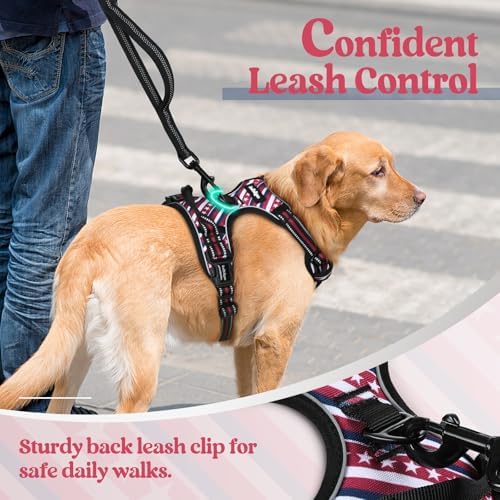rabbitgoo Dog Harness, No Pull for Large Dogs with 2 Leash Clips, Pet Vest - Image 6