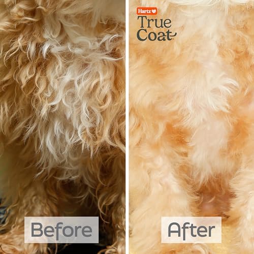 True Coat Curly or Wavy Dog Shampoo, 5 in 1 Detangles & Conditions with Oat Milk, Coconut Oil & Shea Butter, 16 oz - Image 5