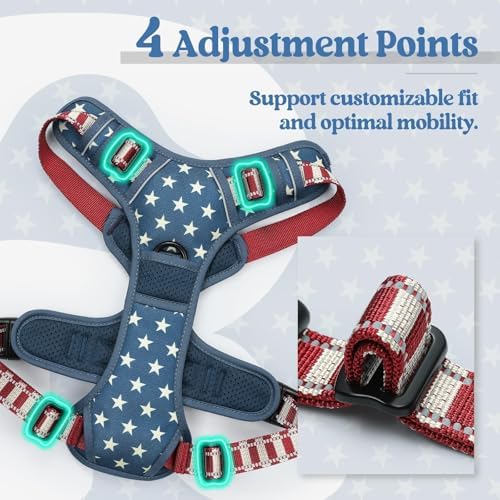 rabbitgoo Dog Harness, No Pull for Large Dogs with 2 Leash Clips, Pet Vest - Image 4