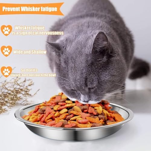 6 Pcs Stainless Steel Cat Bowls Shallow Wide Food Bowls for Cats Replacement Whisker Fatigue Relief for Small Dogs and Cats Indoors (Silver) - Image 5