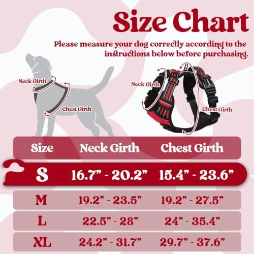 rabbitgoo Dog Harness Small Sized, Updated Easy On & Off with 3 Buckles - Image 2