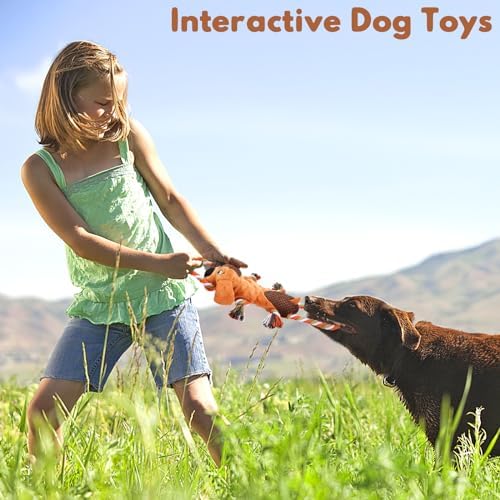 Dog Squeaky Toys for Puppies & Small Dogs - Bubble Plush Cuddle Buddy with Sliding Rope for Teething & Anxiety Relief, Interactive Tug Toy for Gentle Chewers (Chihuahua, Yorkie, Corgi, Poodle) - Image 5
