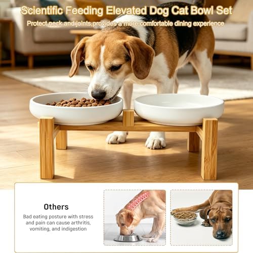 Shallow Elevated Cat Bowls with Bamboo Stand, 6.1 Inch Wide Ceramic Cat Dish Whisker Friendly, 2 Pack Pet Food and Water Plates - Image 3