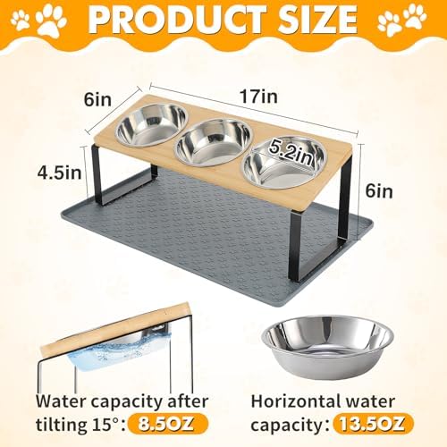 15° Tilted Elevated Cat Bowls, Anti-Vomiting for Indoor Cats Small Pets - Image 6